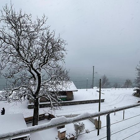 Lake View Residence Niederried bei Interlaken Eksteriør billede