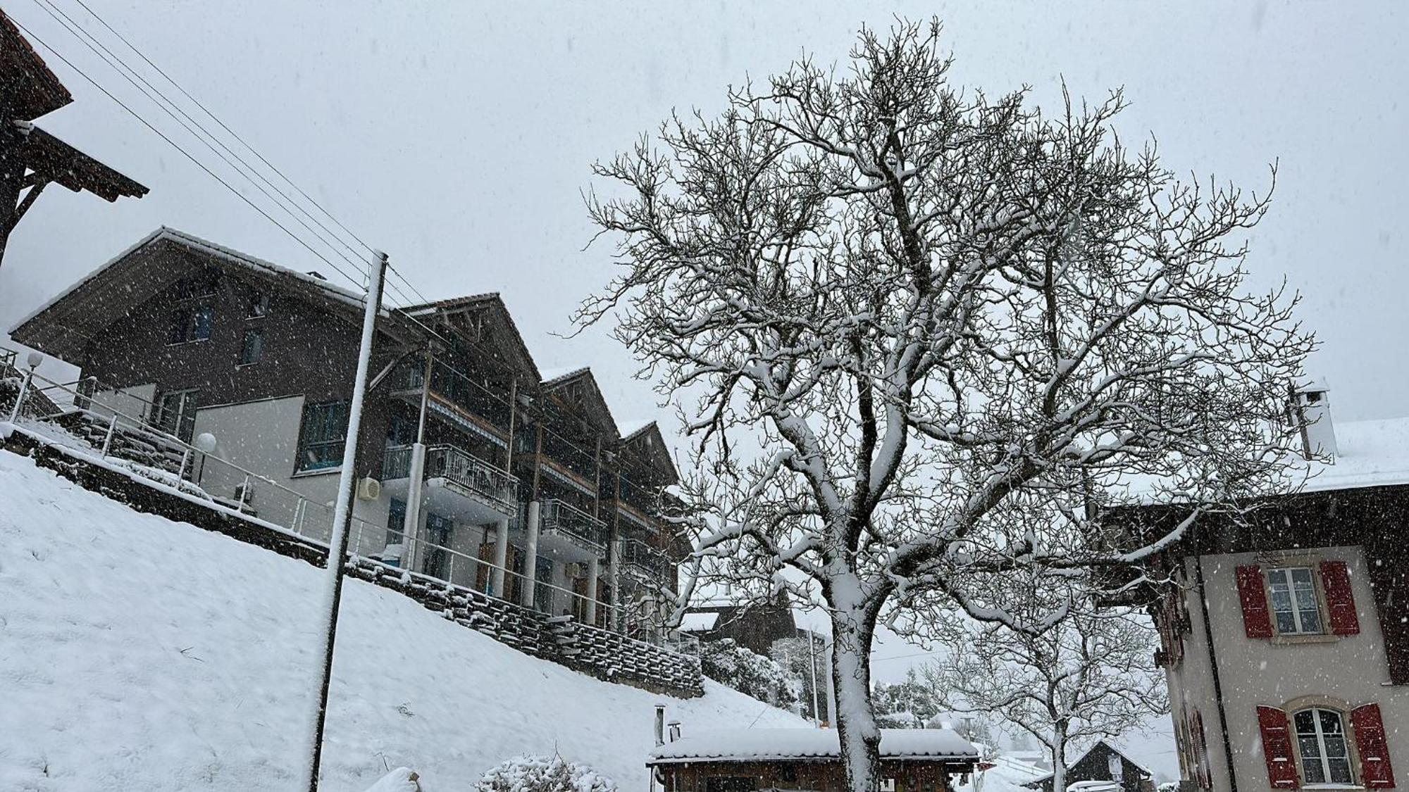 Lake View Residence Niederried bei Interlaken Eksteriør billede