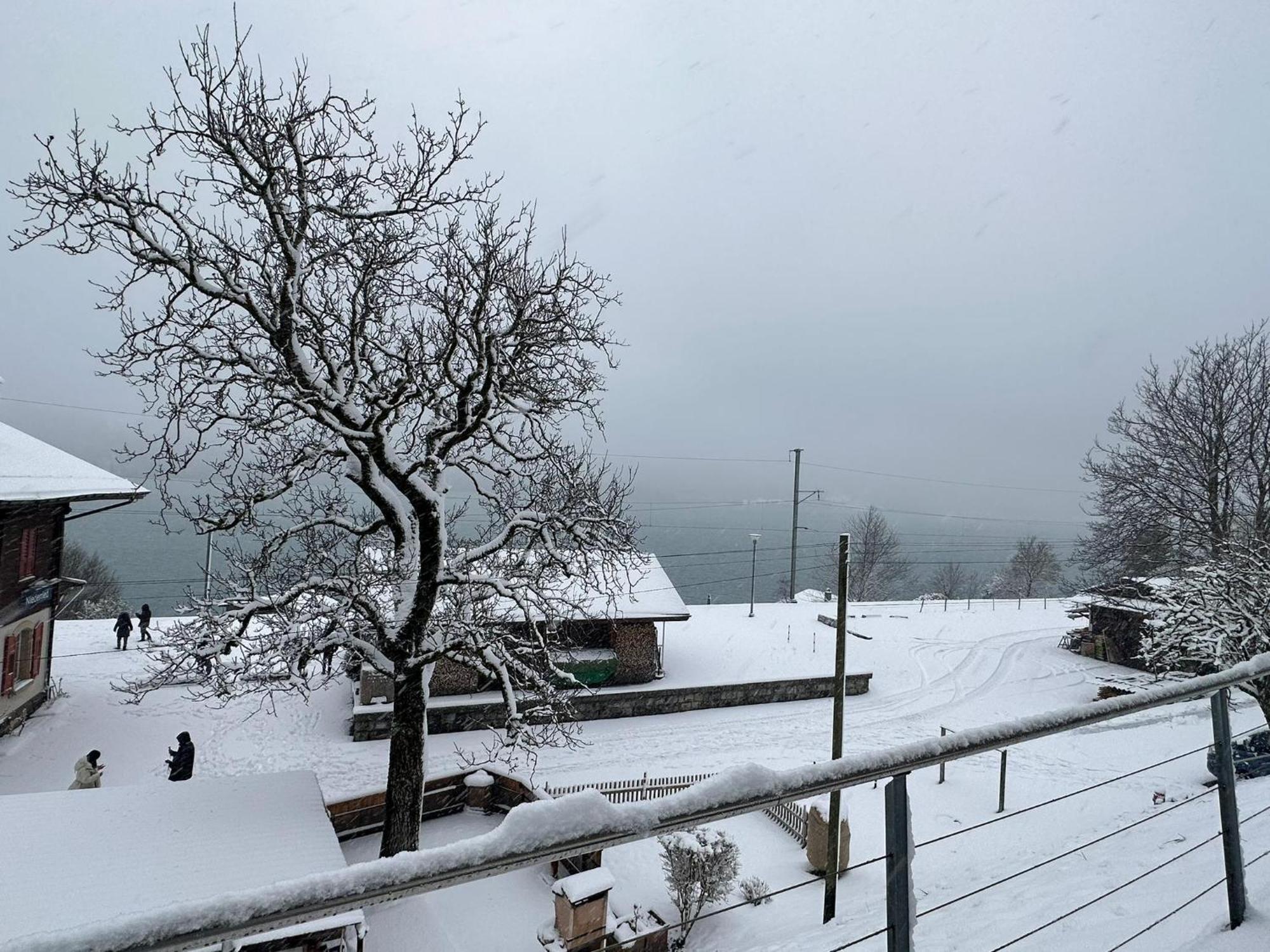 Lake View Residence Niederried bei Interlaken Eksteriør billede